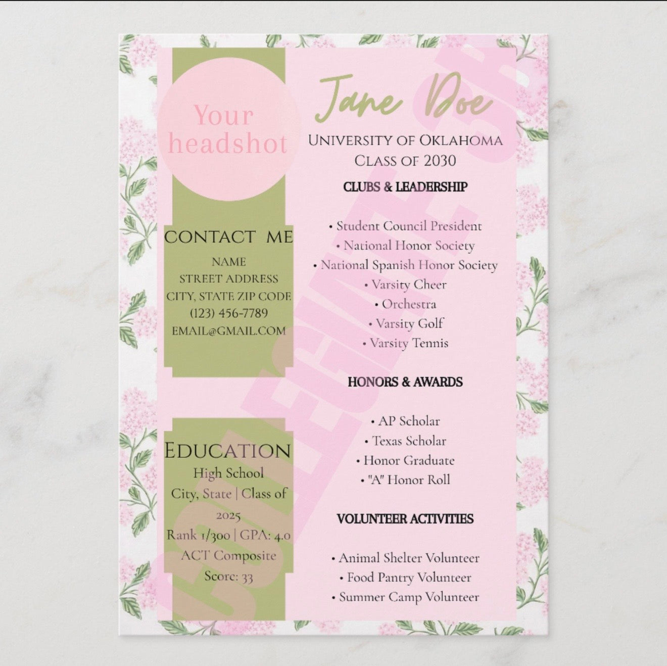 Rush Resume- Pink Hydrangeas