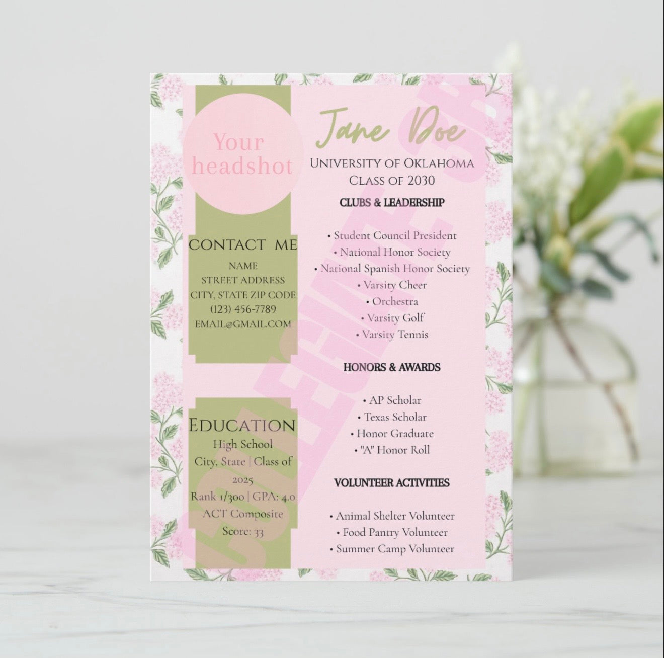 Rush Resume- Pink Hydrangeas
