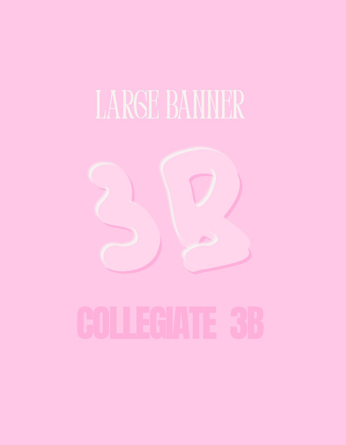 Large Banner preorder